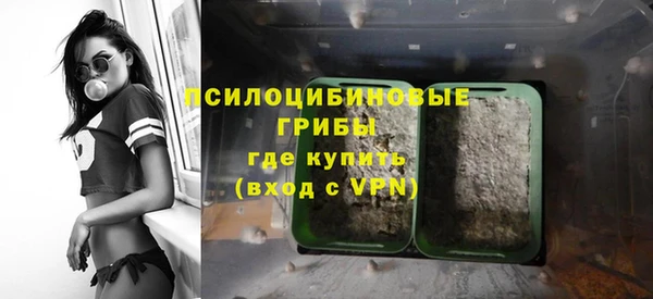тгк Вяземский
