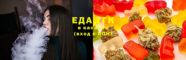 тгк Вяземский