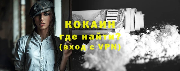 тгк Вяземский