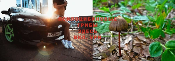 тгк Вяземский